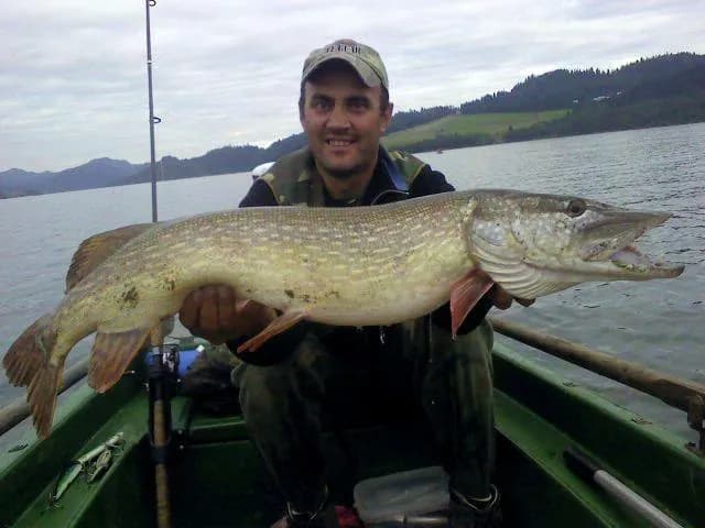 Wędkowanie na jeziorze czorsztyńskim: ryby, metody i zasady połowu