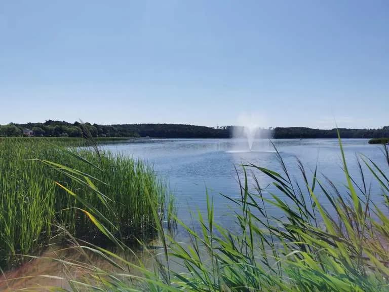 Jezioro Barlineckie: ukryte skarby, wędkarstwo i piękne szlaki