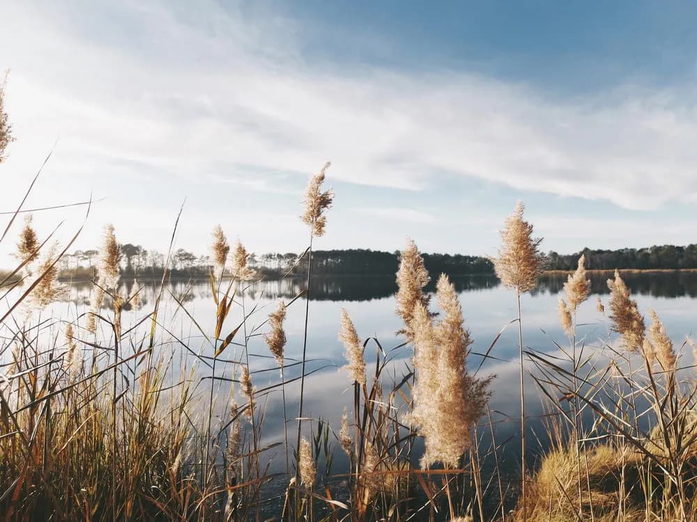 Działka nad jeziorem Mazowieckie - idealne miejsce na inwestycję lub relaks