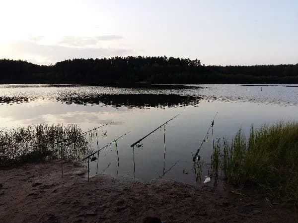 Jezioro Hartowieckie: piękne miejsce na wędkowanie i relaks
