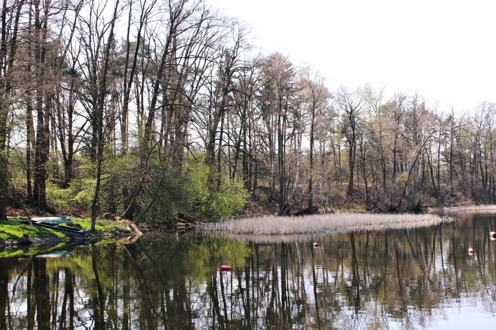 Jezioro Lucieńskie – idealne miejsce na relaks i wędkowanie w naturze