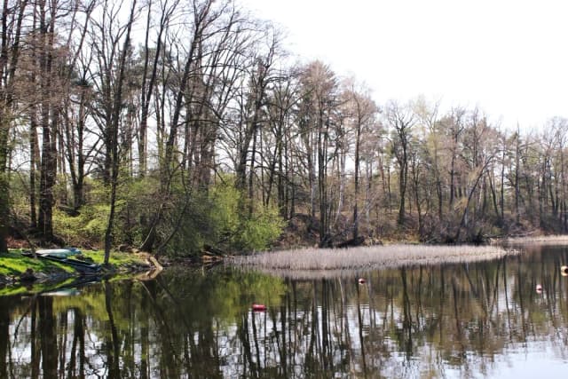 Jezioro Lucieńskie – idealne miejsce na relaks i wędkowanie w naturze