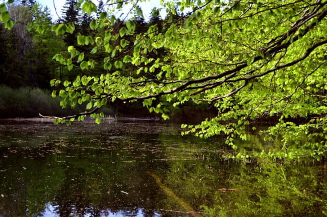 Jezioro Kiełpińskie – odkryj tajemnice dwóch pięknych jezior w Polsce