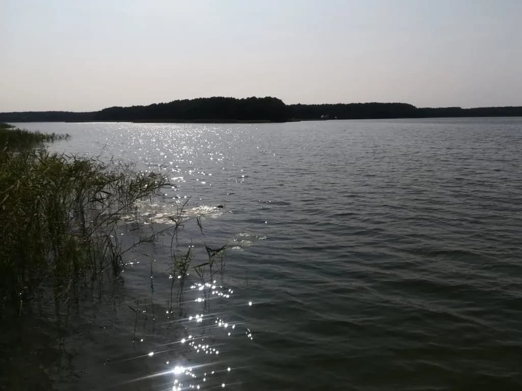 Jezioro Dworackie: raj dla wędkarzy i miłośników natury w Polsce