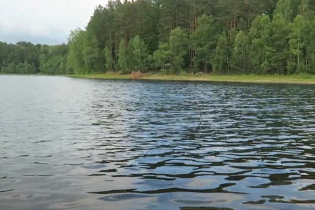 Jezioro Linowskie: Odkryj tajemnice i zagrożenia pięknych jezior
